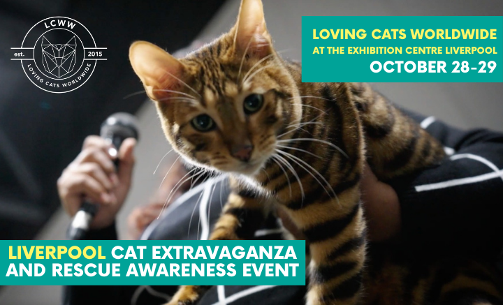 720X437 Loving Cats Worldwide LCWW