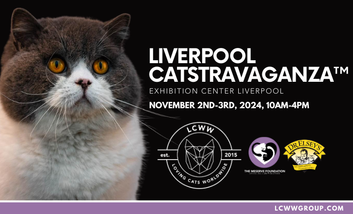 Liverpool Catstravaganza Tqthumb