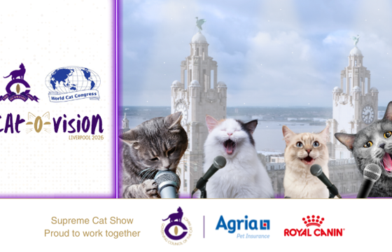 Supreme + WCC 720 437