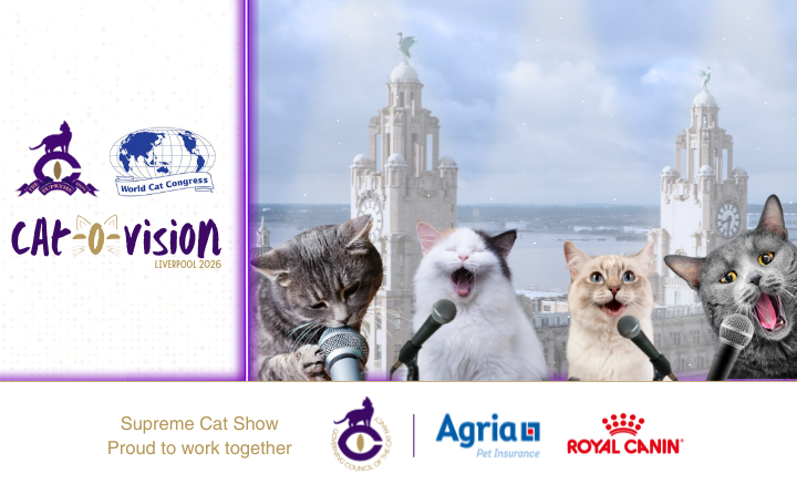 Supreme + WCC 720 437